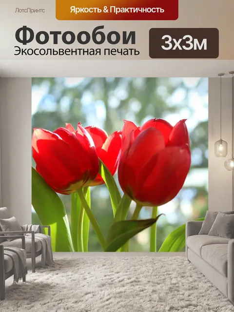 Фотообои Тюльпаны