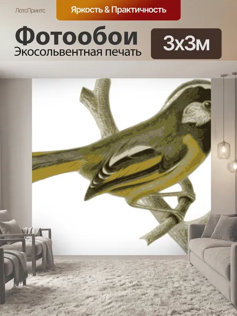Фотообои Птица