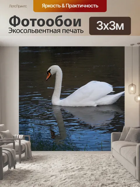 Фотообои Лебеди
