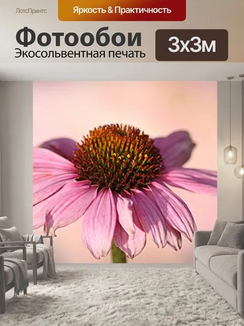 Фотообои Розовый