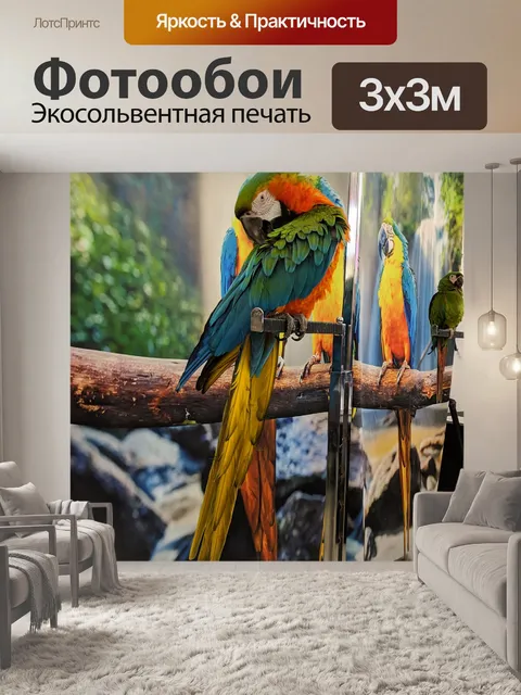 Фотообои Попугай