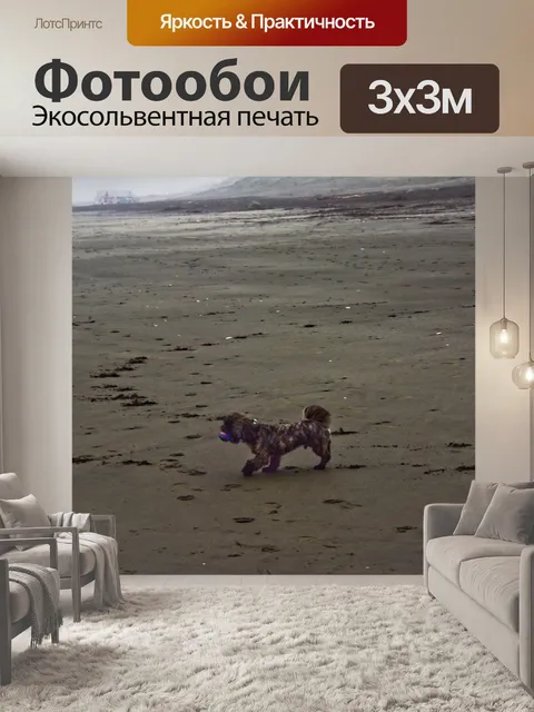 Фотообои Собачий пляж