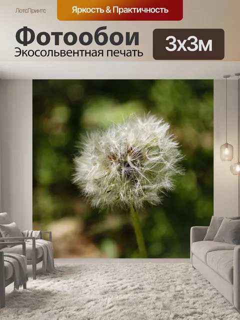 Фотообои Одуванчик