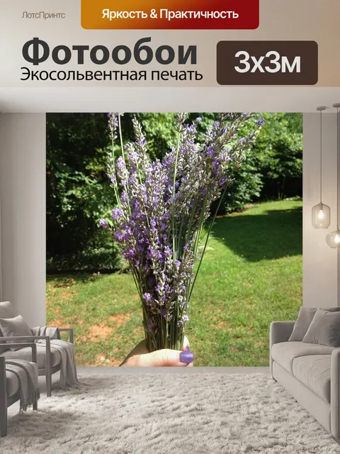 Фотообои Лаванда