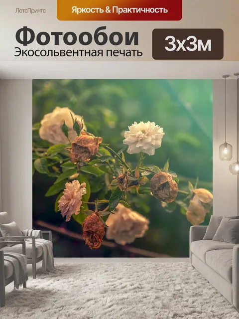 Фотообои Роза