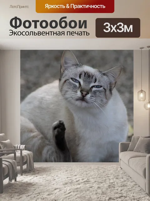 Фотообои Птицы