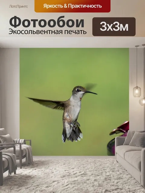 Фотообои Птица