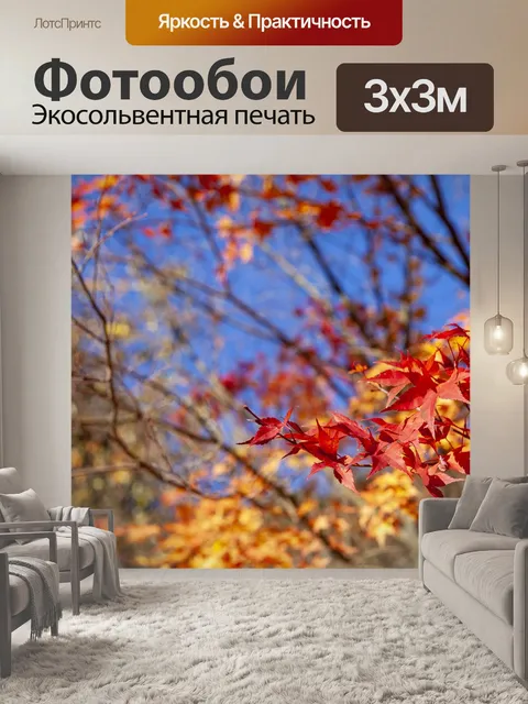 Фотообои Осенние листья