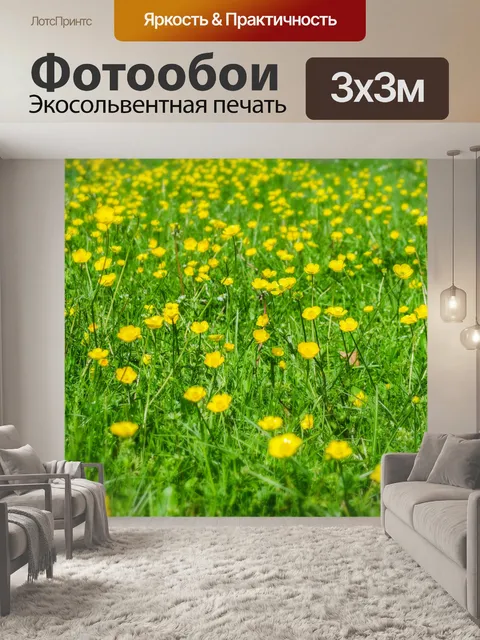 Фотообои Цветы луговые