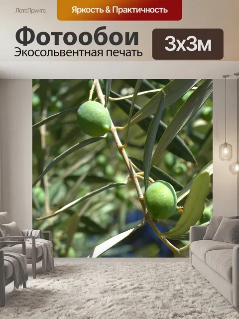 Фотообои Оливки