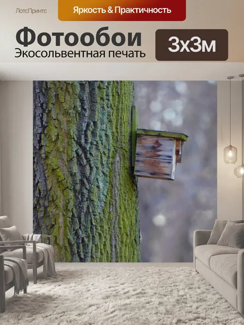 Фотообои Скворечник