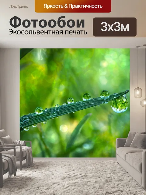 Фотообои Вода падает трава луговой макрос
