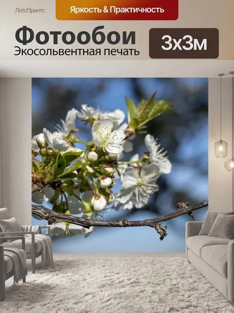 Фотообои Цветы
