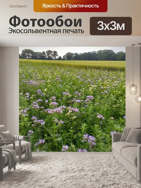 Фотообои Цветы поля пейзаж фото