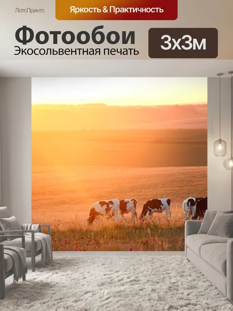 Фотообои Закат