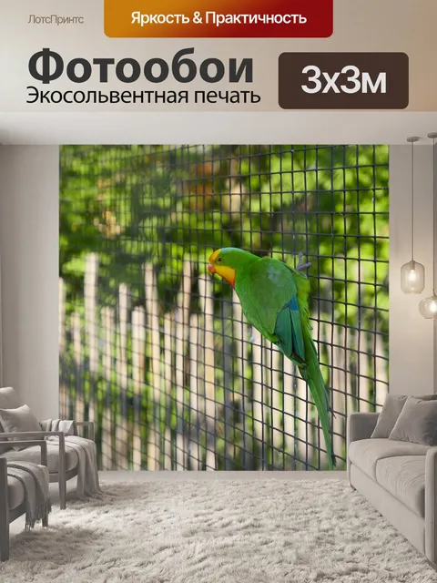 Фотообои Попугай