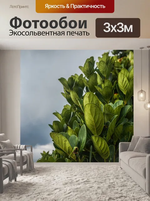 Фотообои Листья