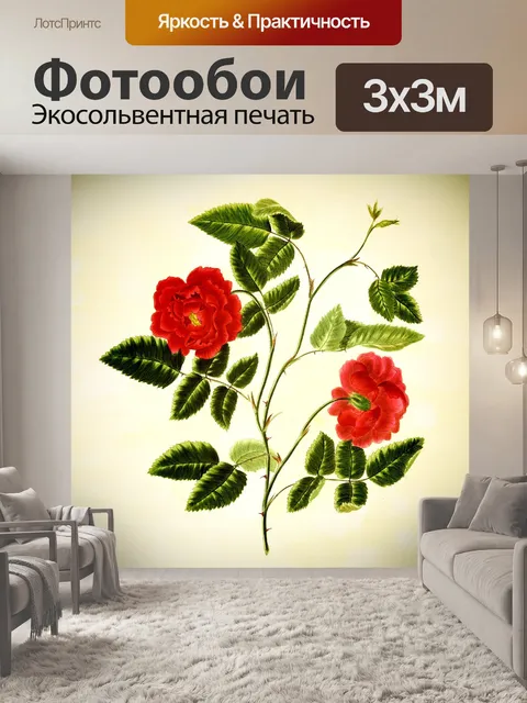 Фотообои Цветы