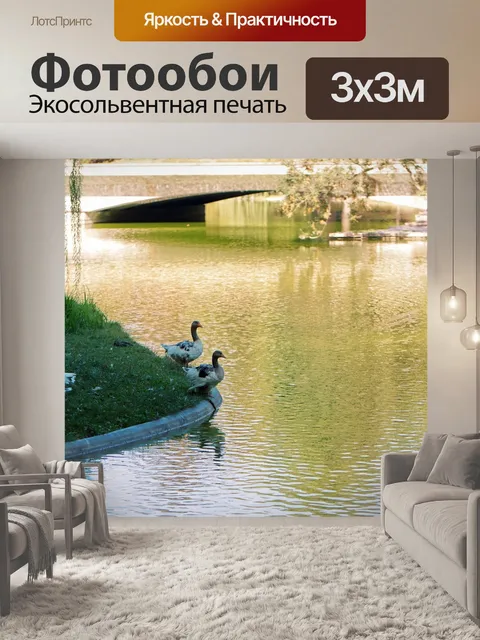 Фотообои Гуси