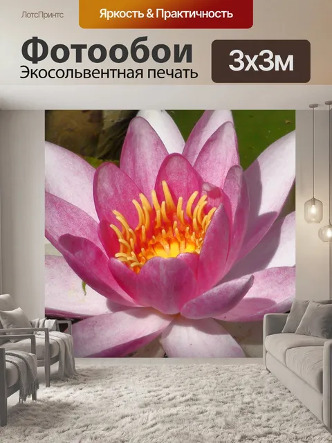 Фотообои Пруд