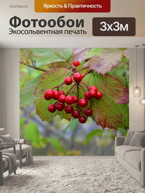 Фотообои Лес
