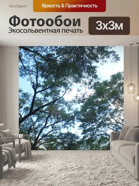Фотообои Листья и стебли
