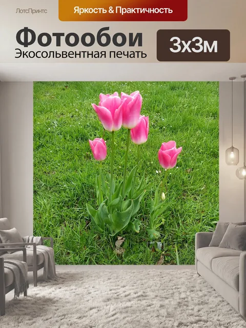 Фотообои Тюльпаны