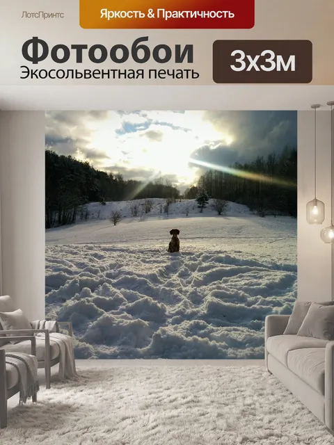 Фотообои Зима