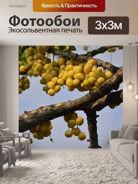 Фотообои Фрукты