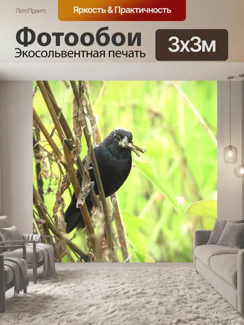 Фотообои Природа