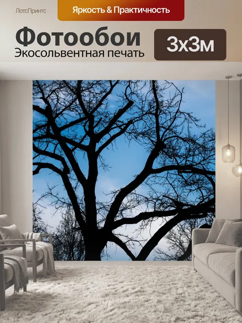Фотообои Силуэт