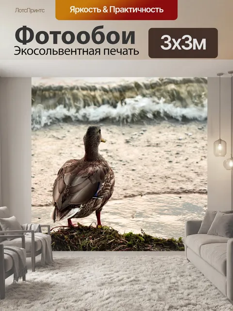Фотообои Озеро