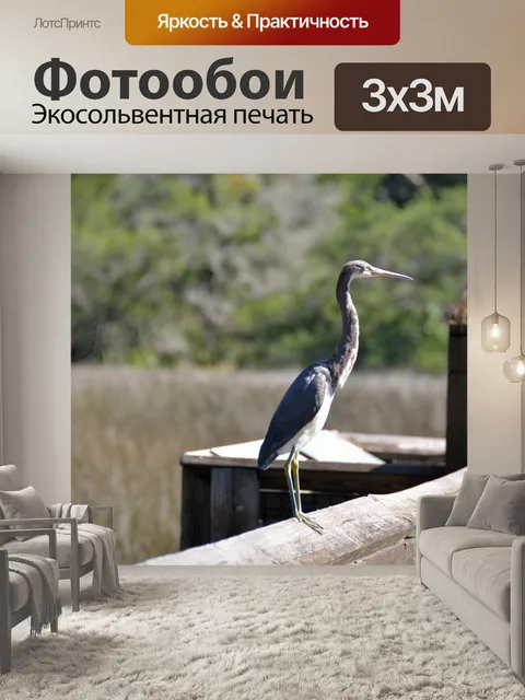 Фотообои Цапля в дикой природе