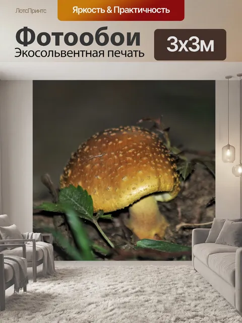 Фотообои Маленький золотой гриб крупным планом