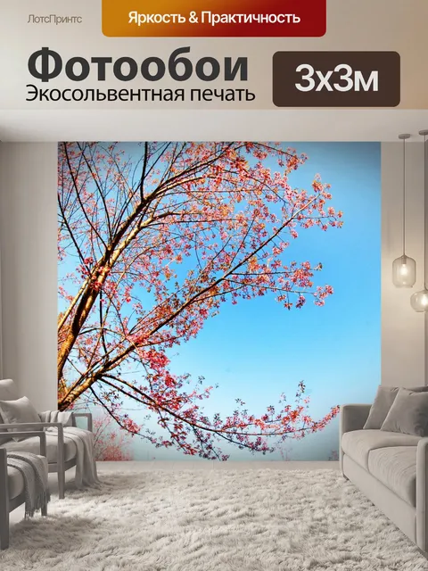 Фотообои Prunus cerasoides, дикая гималайская виш