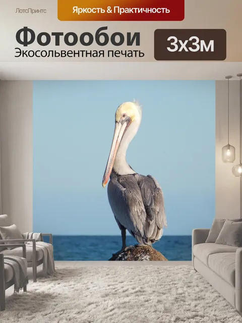 Фотообои Птица