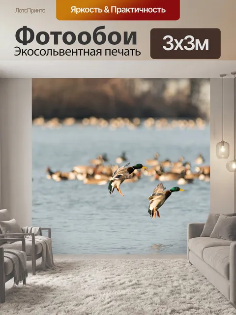 Фотообои Птицы