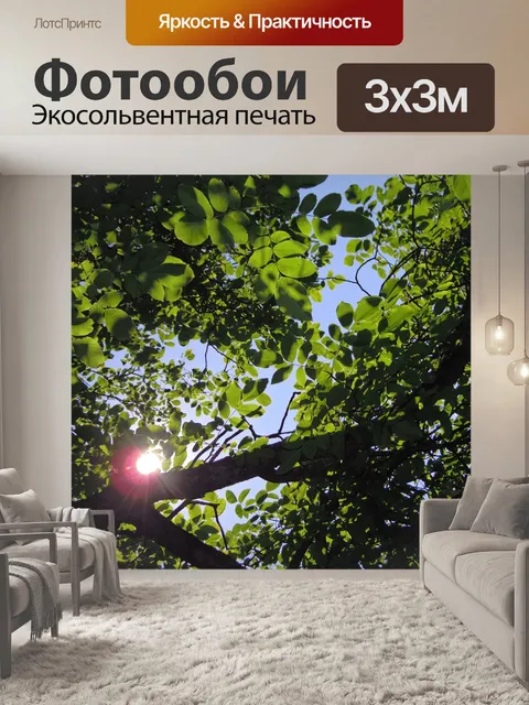 Фотообои Дерево