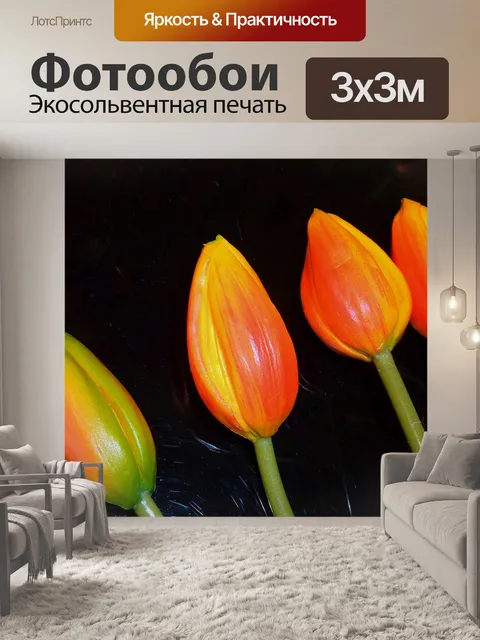Фотообои Листья