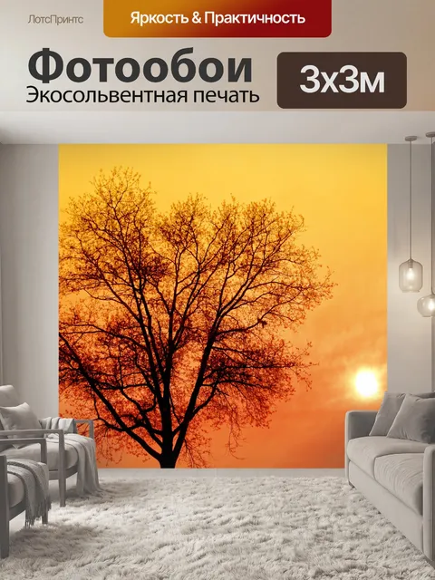 Фотообои Рано утром дерево