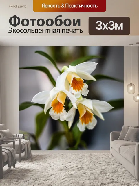 Фотообои Цветы