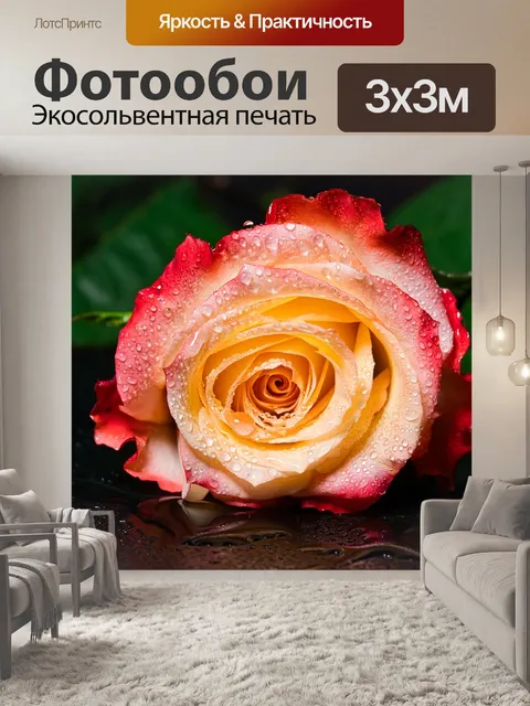 Фотообои Роза