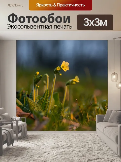Фотообои Деталь весенних цветов