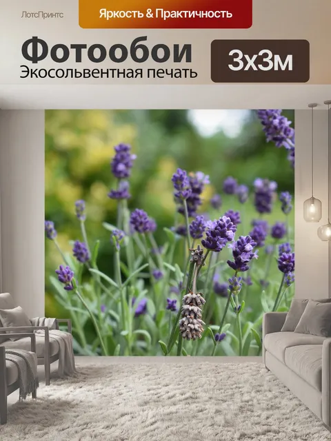 Фотообои Лаванда