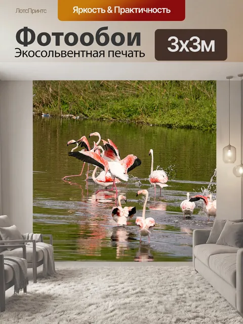 Фотообои Птицы