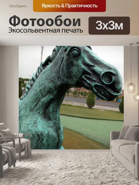Фотообои Лошадь
