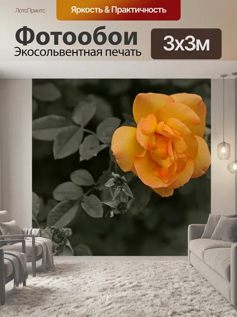 Фотообои Цветок