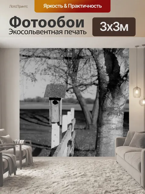 Фотообои Птичий домик