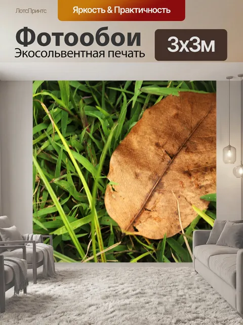 Фотообои одного сухого листа