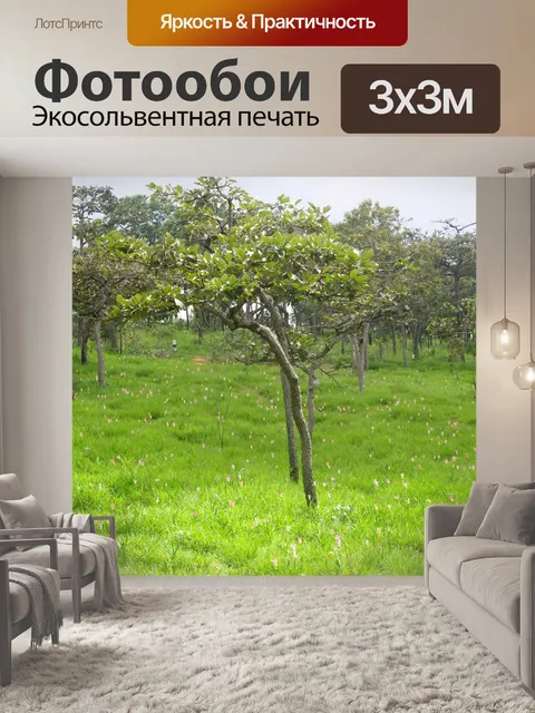 Фотообои Сиам тюльпан цветок Па Хин Нгам